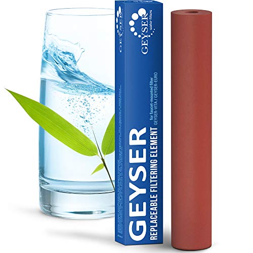 Geyser EURO Aragon Filterkartusche 3000L 1 Stück