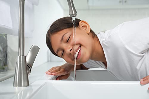 TW-DES Wasserhygiene Entkalker Zitronensäure 125 Liter