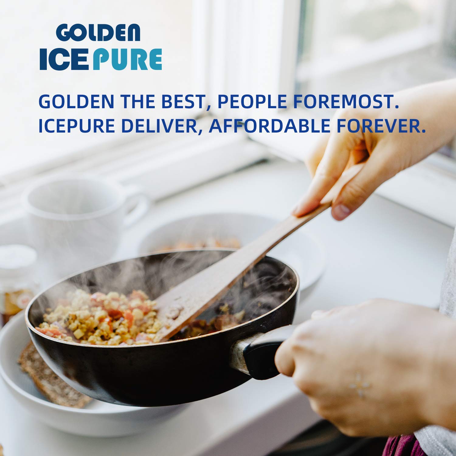 Golden IcePure Aktivkohlefilter Dunstabzugshaube Bosch 1 Stück