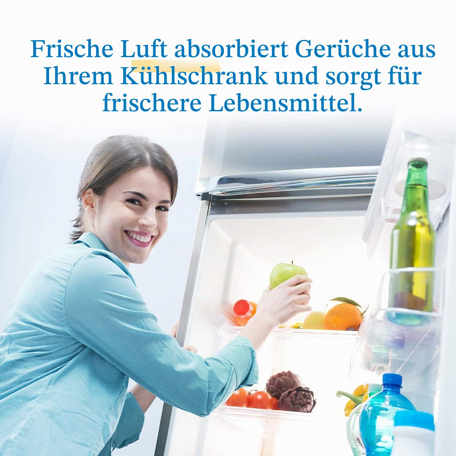 Golden IcePure W10311524 Kühlschrank-Luftfilter 6er Pack