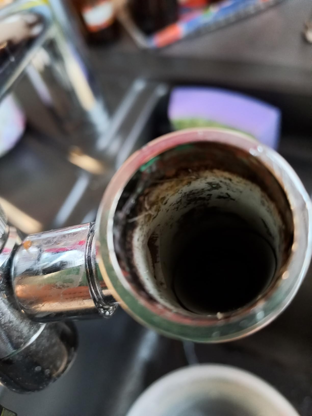 Geyser EURO Aragon Filterkartusche 3000L 1 Stück